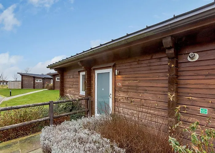 度假村 林地湖区小屋假日公园